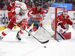 Red Wings Capitals Hockey