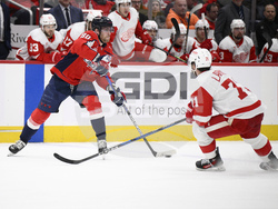 Red Wings Capitals Hockey