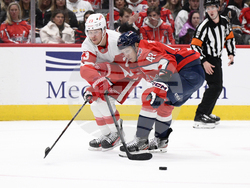 Red Wings Capitals Hockey