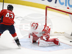Red Wings Capitals Hockey