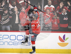 Red Wings Capitals Hockey