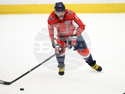 Red Wings Capitals Hockey