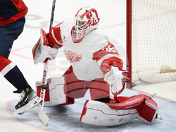 Red Wings Capitals Hockey