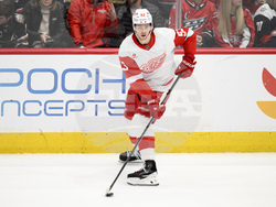 Red Wings Capitals Hockey