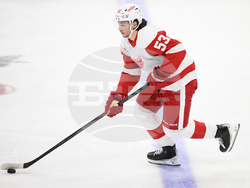 Red Wings Capitals Hockey