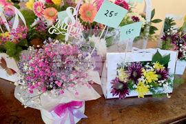 Петрич - Международен ден на жената - отбелязване