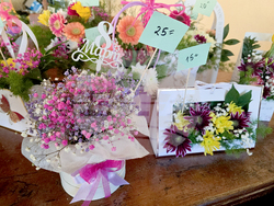 Петрич - Международен ден на жената - отбелязване