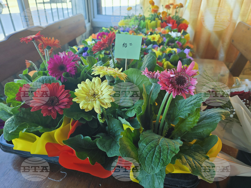 Петрич - Международен ден на жената - отбелязване