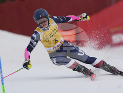 Sweden Alpine Skiing World Cup