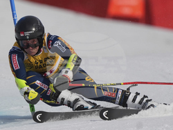 Sweden Alpine Skiing World Cup