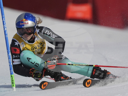 Sweden Alpine Skiing World Cup