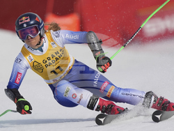 Sweden Alpine Skiing World Cup