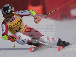 Sweden Alpine Skiing World Cup
