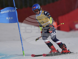 Sweden Alpine Skiing World Cup