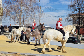 Црънча - Тодоровден - коне