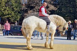 Црънча - Тодоровден - коне