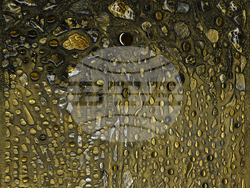 Художничката Йорданка Илиева представя нова изложба с надслов "Ретроспектива". Снимка: Съюз на българските художници (СБХ)