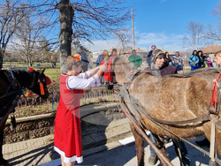 Село Драгомирово - Тодоровден