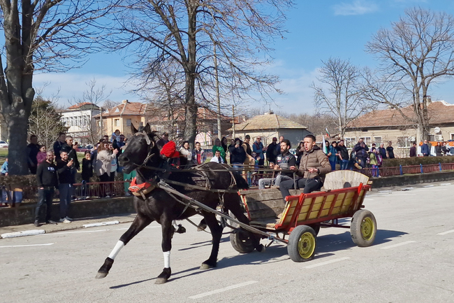 За четиринадесета поредна година в свищовското село Драгомирово отбелязаха Тодоровден с конни надбягвания