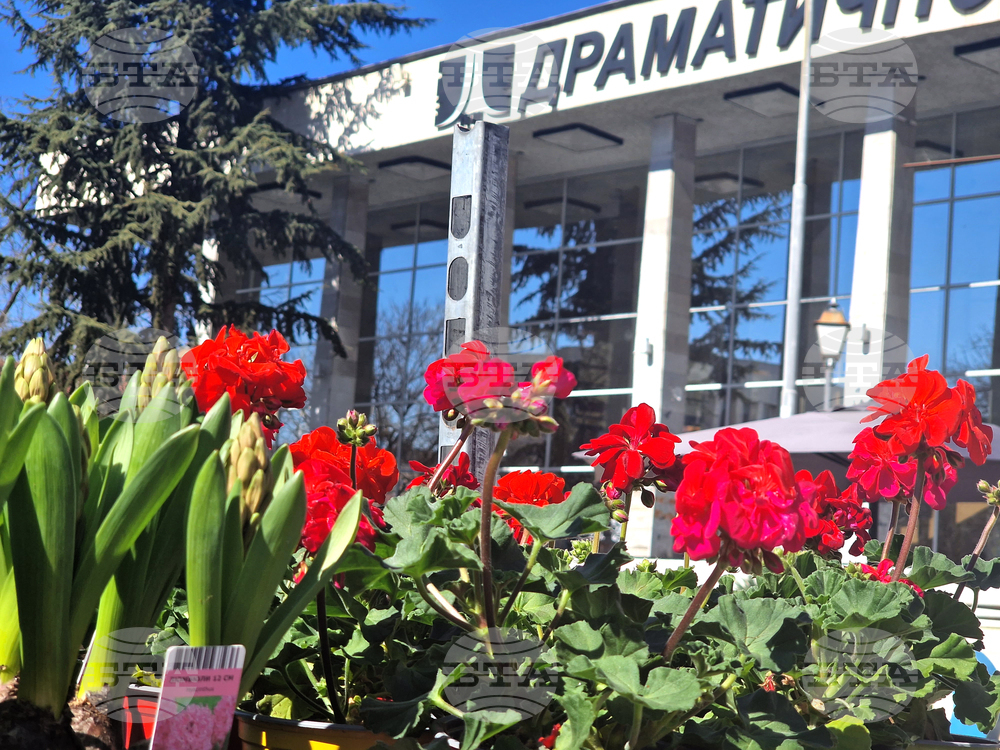 Пазарджик - Международен ден на жената - отбелязване