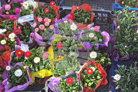 Пазарджик - Международен ден на жената - отбелязване