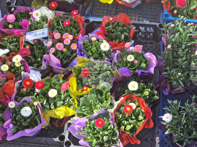 Пазарджик - Международен ден на жената - отбелязване