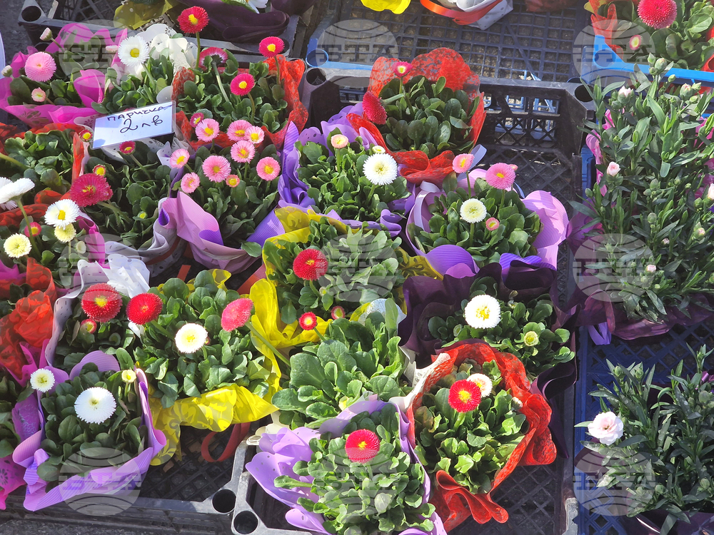 Пазарджик - Международен ден на жената - отбелязване