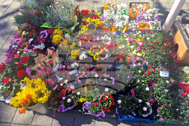 Пазарджик - Международен ден на жената - отбелязване