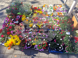 Пазарджик - Международен ден на жената - отбелязване