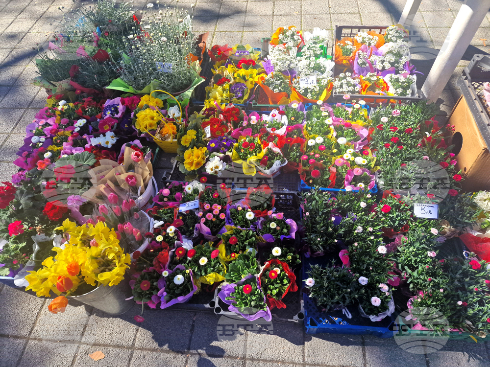Пазарджик - Международен ден на жената - отбелязване