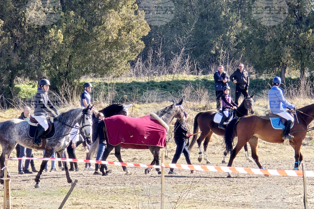 Село Малка Смолница - Тодоровден - турнир