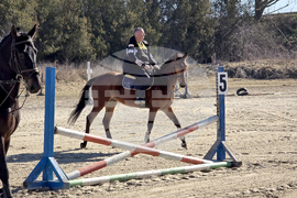 Село Малка Смолница - Тодоровден - турнир