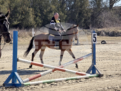 Село Малка Смолница - Тодоровден - турнир