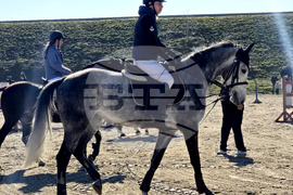 Село Малка Смолница - Тодоровден - турнир