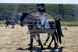 Село Малка Смолница - Тодоровден - турнир