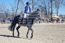 Стара Загора - Тодоровден - конни състезания