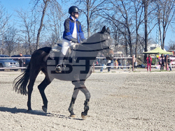 Стара Загора - Тодоровден - конни състезания