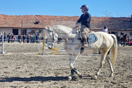 Стара Загора - Тодоровден - конни състезания