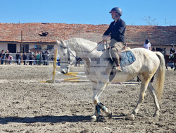 Стара Загора - Тодоровден - конни състезания