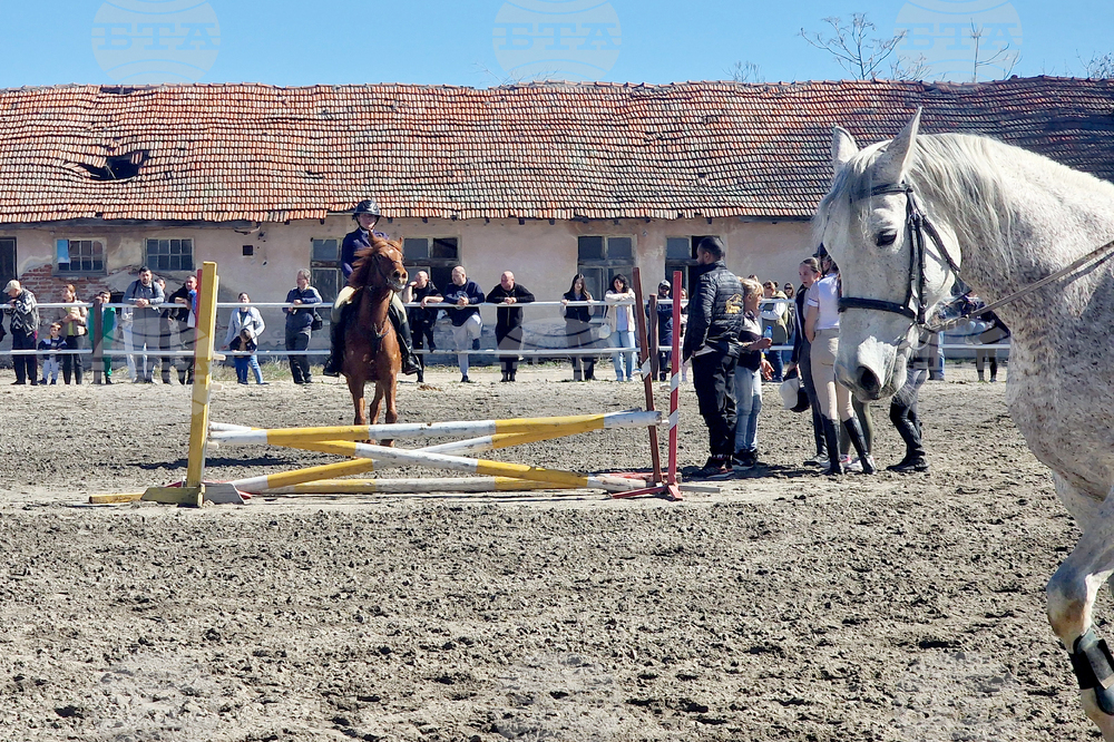 Стара Загора - Тодоровден - конни състезания
