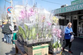 Сърбия - Международен ден на жената