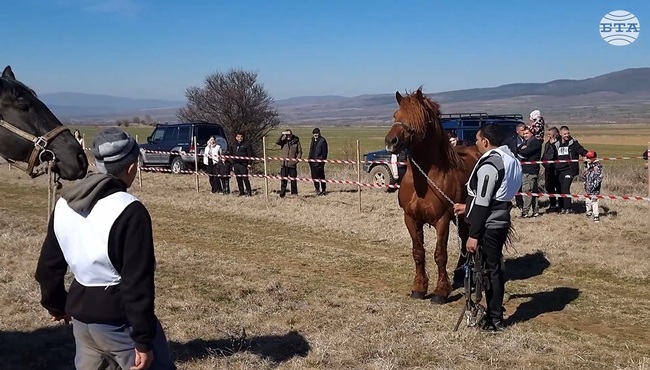 Кобилата Симона спечели надбягването на Тодоров ден в Сапарева баня