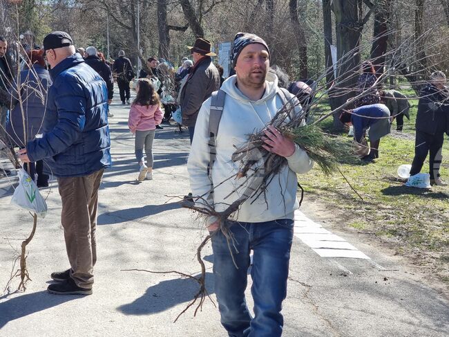 Близо 14 500 дръвчета ще бъдат засадени в Ямболско по инициативата на „Гората.бг”