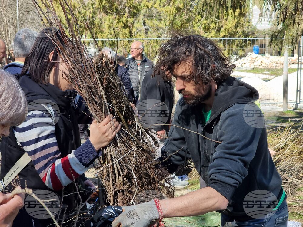 В Ямбол ще бъдат раздадени 15 000 дръвчета по инициативата на „Гората.бг”