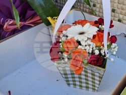 Разград - Осми март - цветя