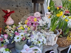 Разград - Осми март - цветя