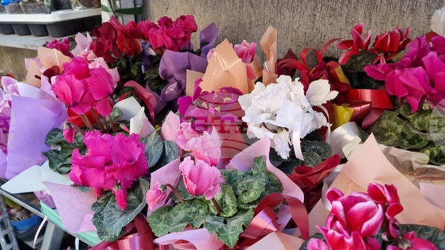 За поредна година конкурсът „Да на красотата“ ще отличи жители на община Разград с красиво подредени с цветя балкони, дворове и градини