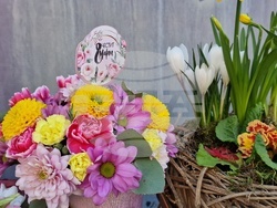 Разград - Осми март - цветя