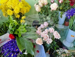 Разград - Осми март - цветя