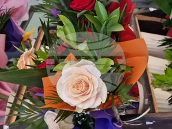 Разград - Осми март - цветя